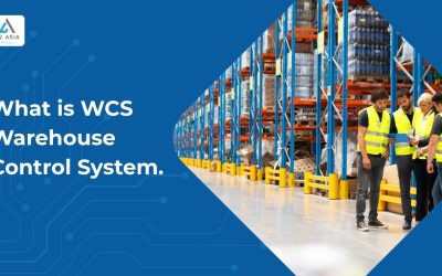 What is WCS Warehouse Control System